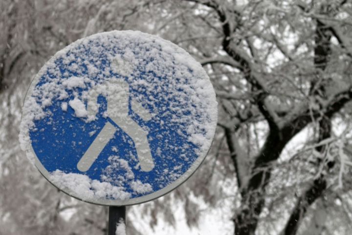  ������� ������ �������� ������� ������� 