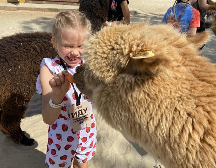  ����������� �������� �������� lte-�������� 