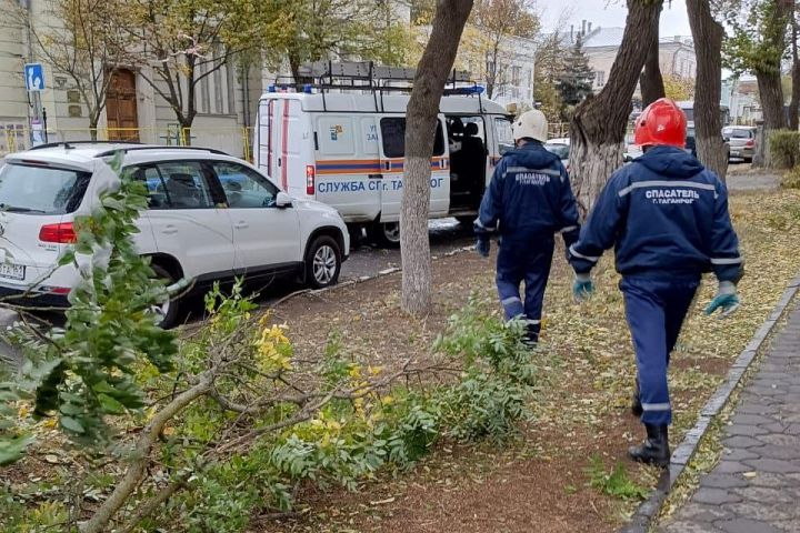  ������� ������� ����������� ������ �������� ���������� ��������� 