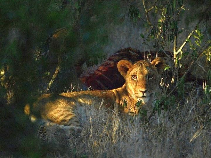  ������� ������ ������� ��� ����� 7-������ ������� 