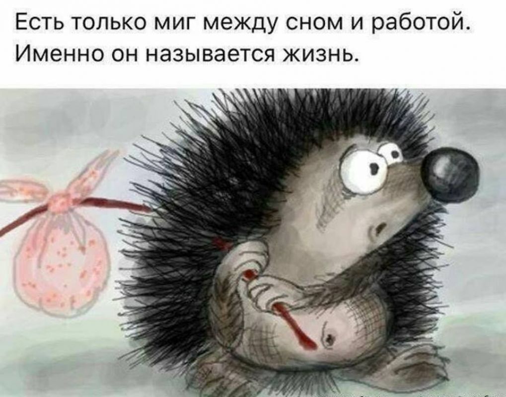 Ежик Заболел Картинки