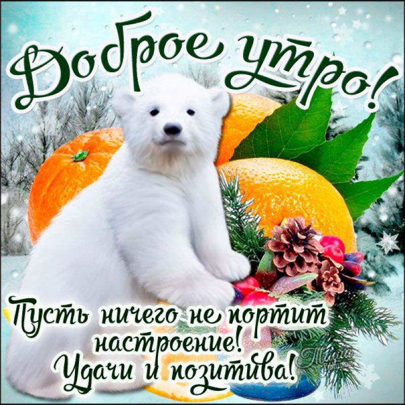Доброе Утро Картинки Хорошего Дня И Отличного