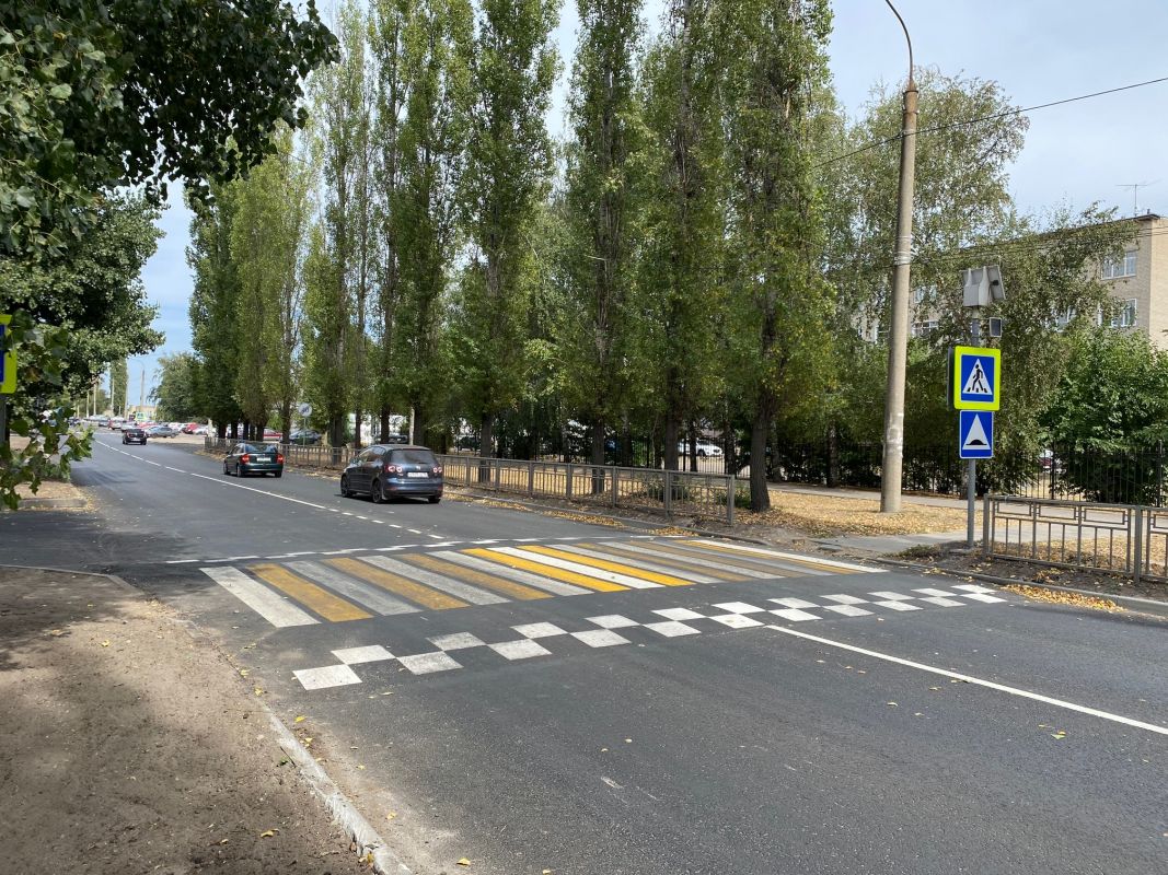 В Воронеже появляется всё больше&nbsp;приподнятых&nbsp;пешеходных переходов
