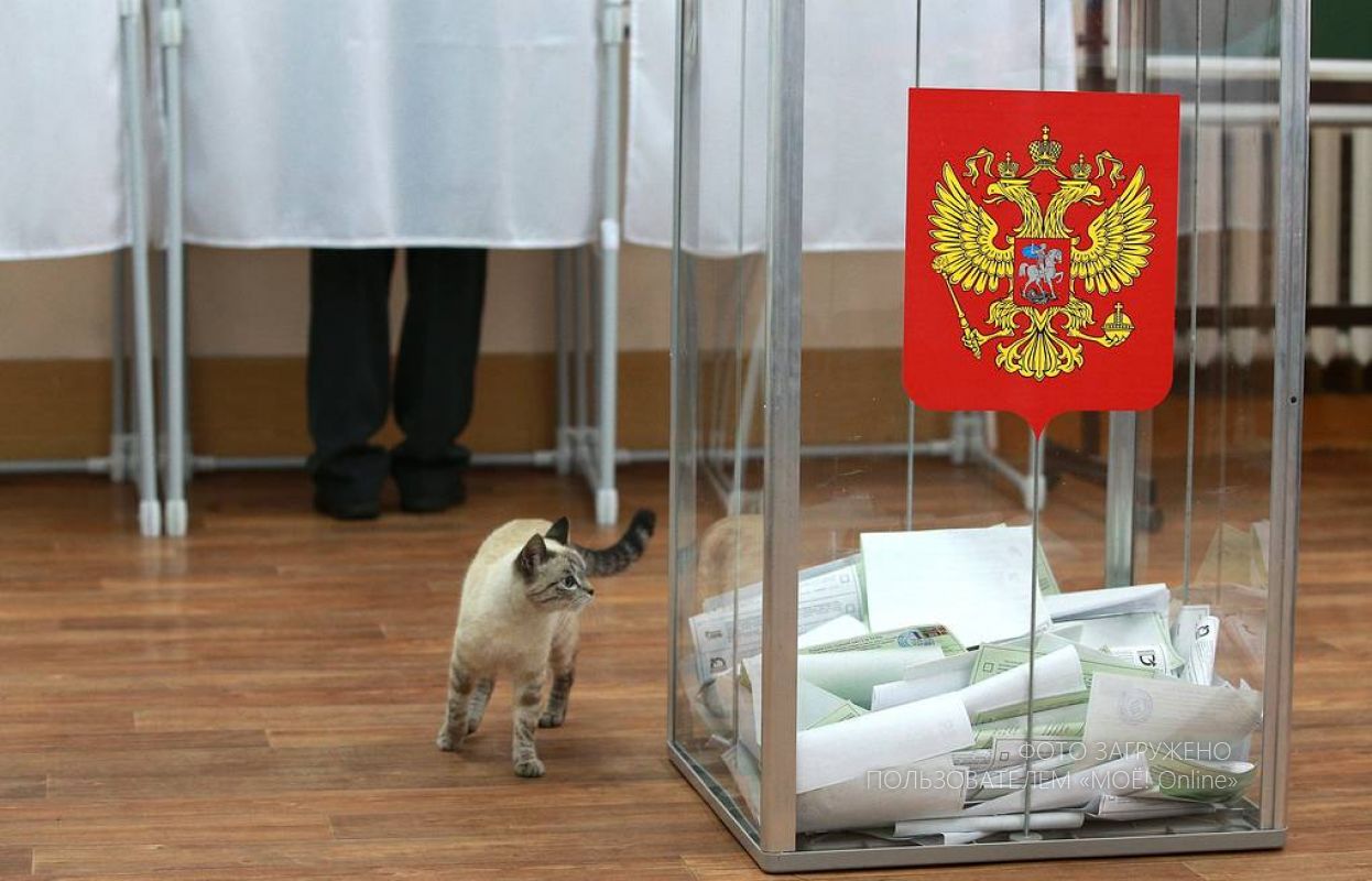 Выборы рф картинки