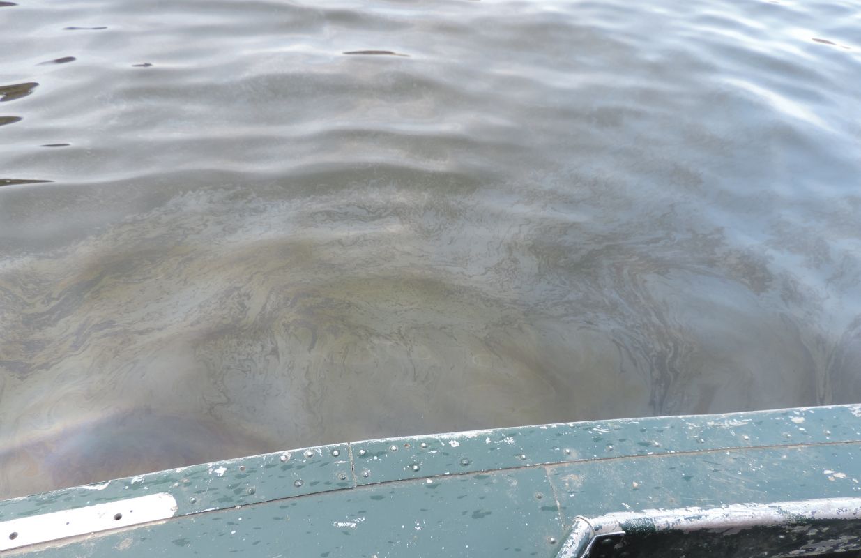 На реке под Воронежем обнаружили нефтяное пятно площадью 7,5 тысяч кв. м
