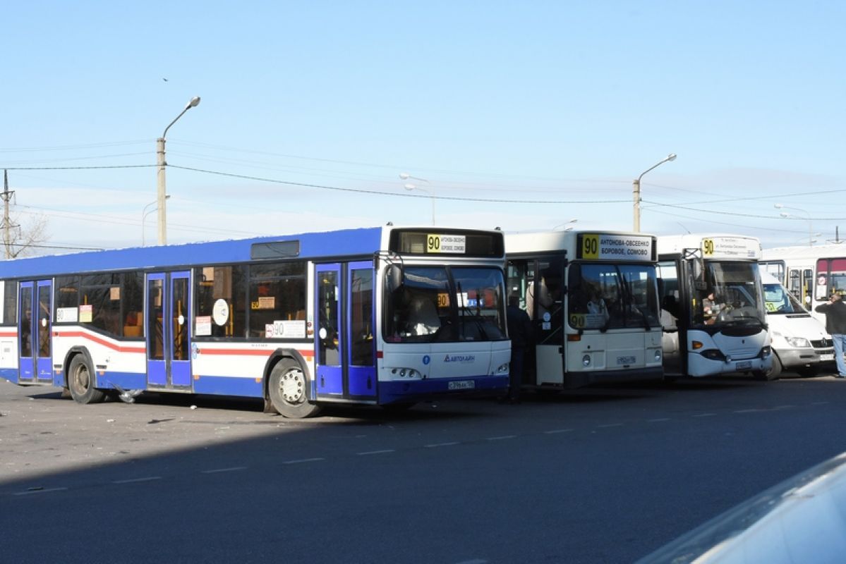 Воронежцы осудили водителя автобуса, справляющего нужду из салона автобуса&nbsp;
