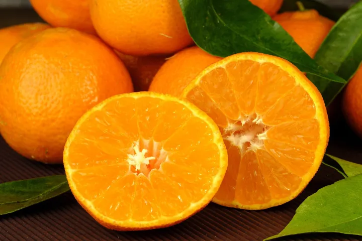 ТЕСТ: Съедобное — несъедобное