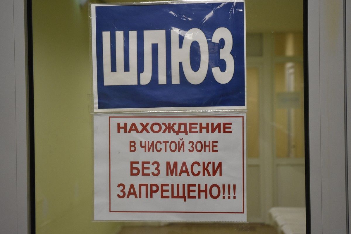 Учёные выяснили, долго ли сохраняются антитела к коронавирусу