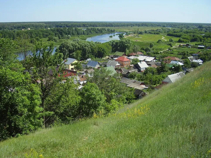 ТЕСТ ко Дню рождения Рамонского района