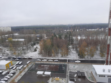 В Воронеже выпал первый снег