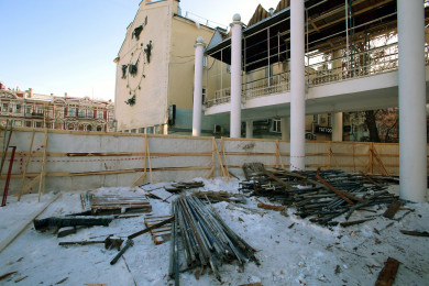 Воронежские активисты добиваются общественного контроля за ремонтом театра кукол