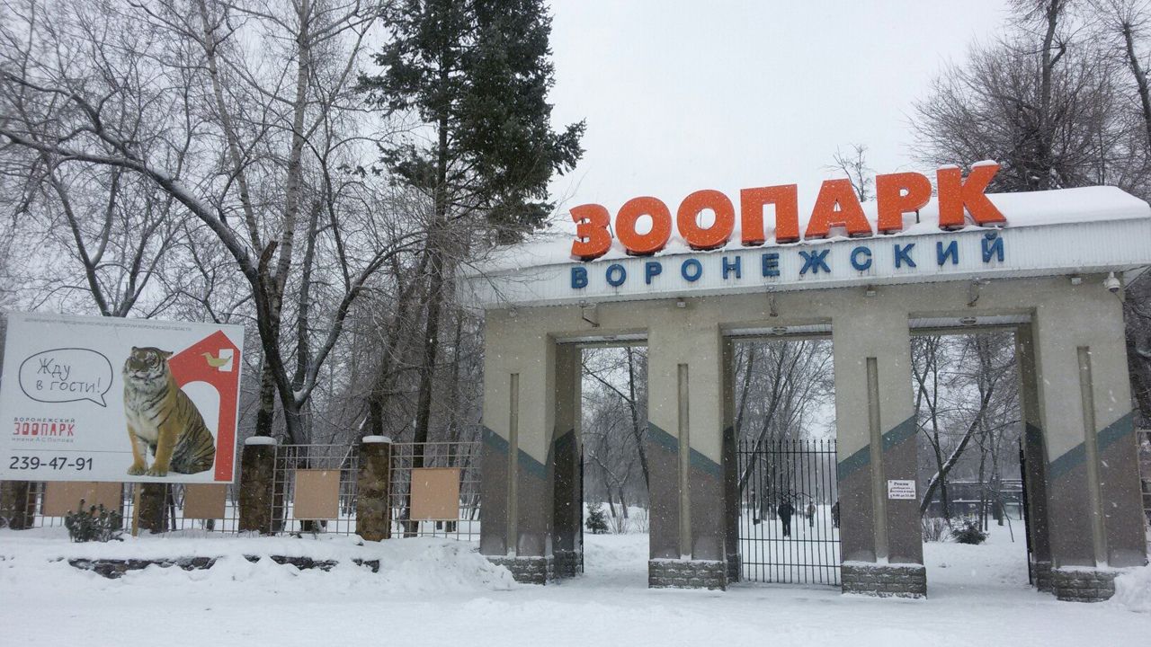 В Воронежском зоопарке рассказали о работе во время новогодних каникул