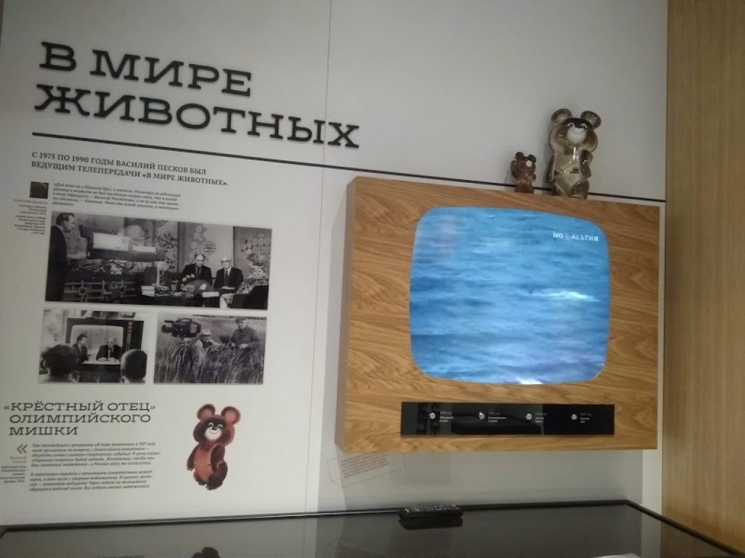 В Воронеже в тестовом режиме заработал новый музей