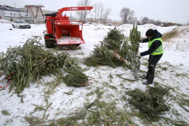 Где в Воронеже хоронят Новый год