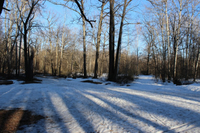 В Воронежской области ожидаются 30-градусные морозы