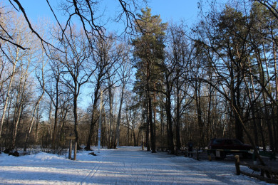 В Воронеже реконструируют «Олимпик»