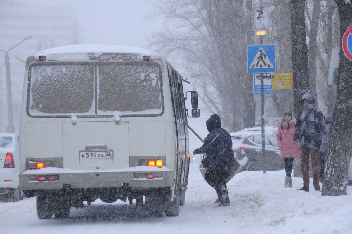 Новый автобусный маршрут может появиться в Воронеже