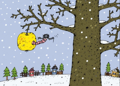 Погода в Воронеже на воскресенье, 31 января