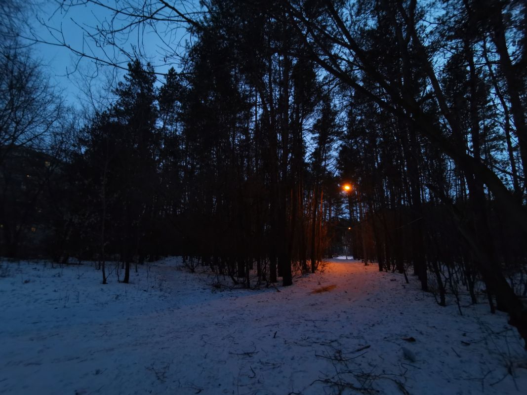 Синоптик рассказал о погоде в Воронеже на выходных