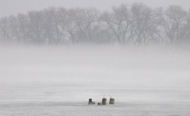 В Воронежском водохранилище утопили «Лексус»
