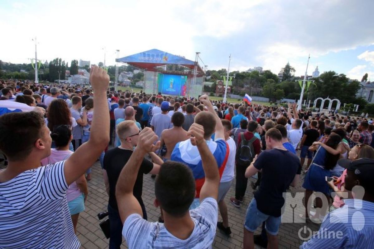 Матч чемпионата мира по футболу в Воронеже в 2018 году