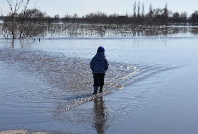 Открыли движение по мосту в воронежском селе 
