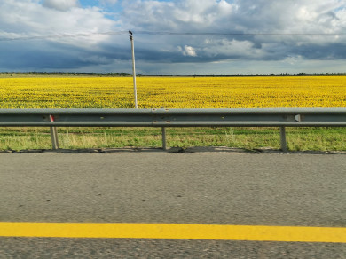 В Воронеже объявлено штормовое предупреждение из-за жары 