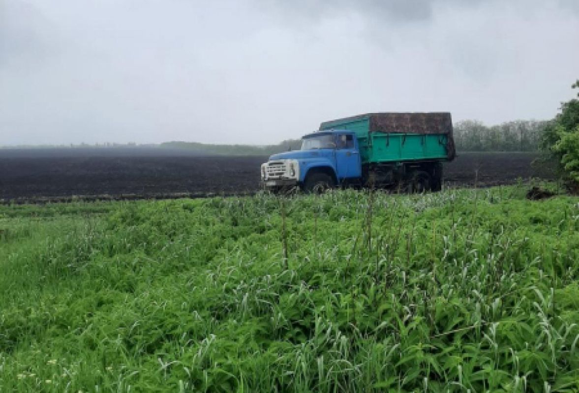 самосвал iveco-amt 653900. грузовой самосвал 457213. фура в поле. самосвал с поднятым кузовом. кузов камаз 3х сторонний.