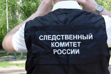Челябинец, обвиняемый в убийстве воронежца из-за громкой музыки, был пьян