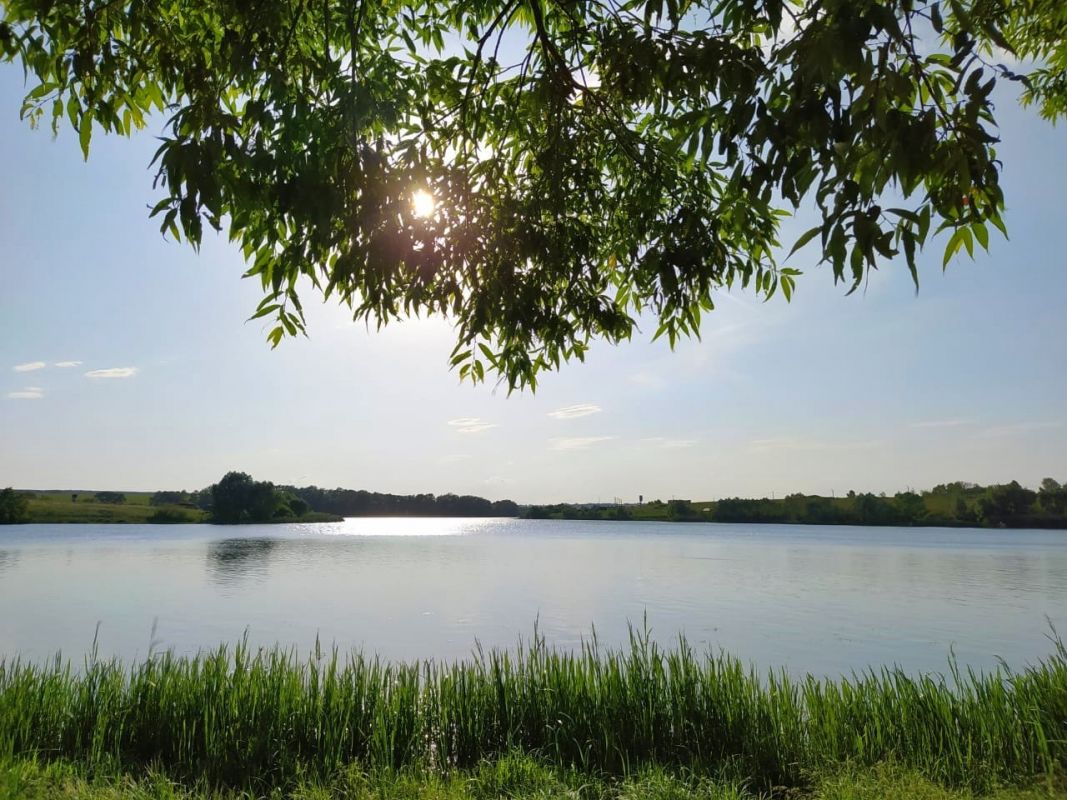 Архивное фото.