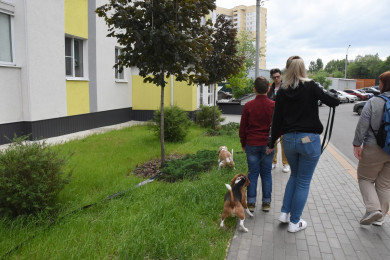 «Собаки должны гулять по воздуху?»: в новом ЖК разгорается конфликт жильцов