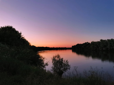 Наплавной мост за 82 млн рублей установят в Воронежской области 