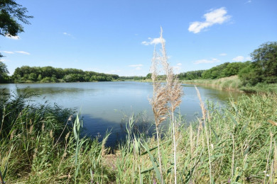 Под Воронежем арендаторов заставили убрать шлагбаумы, перекрывающие дорогу к пруду 