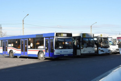 Как будут ходить автобусы на День города в Воронеже