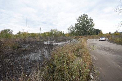 «Окна не открыть, вещи все пропахли свалкой»: воронежские дачники пожаловались на жуткую вонь на Машмете
