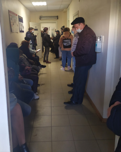 розы люксембург 109 воронеж