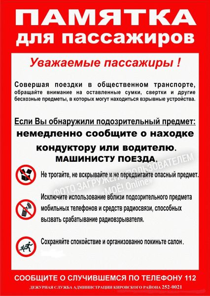 Чбд Новогодний 2022