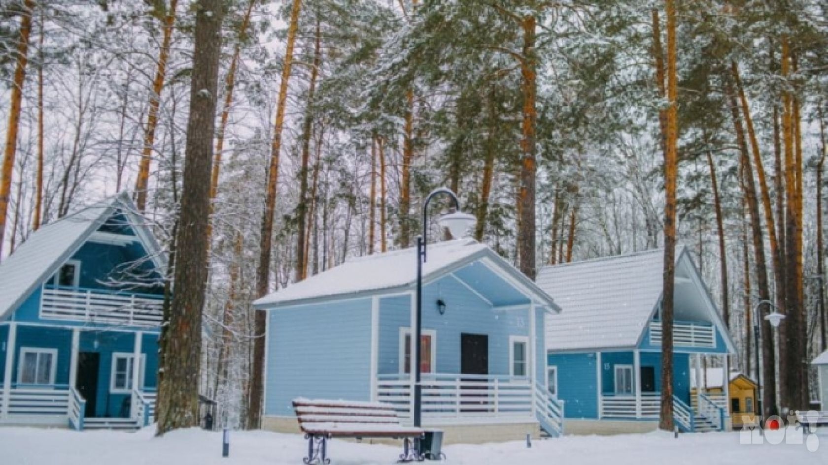 Елка корпоратив. Турбаза елочка воронеж. Клуб елки. Ёлки база отдыха воронеж. Ёлки база отдыха воронеж.