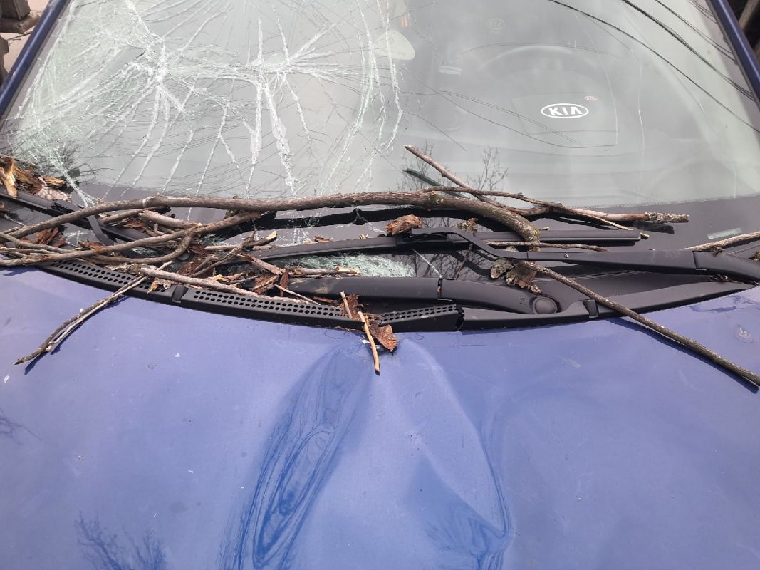 Рухнувшее на балкон дерево и сорванная крыша: спасатели рассказали о последствиях ночной бури в Воронеже
