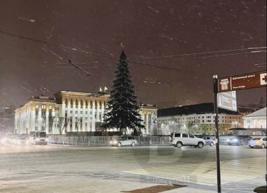 На главной площади Воронежа закончили установку новогодней ёлки