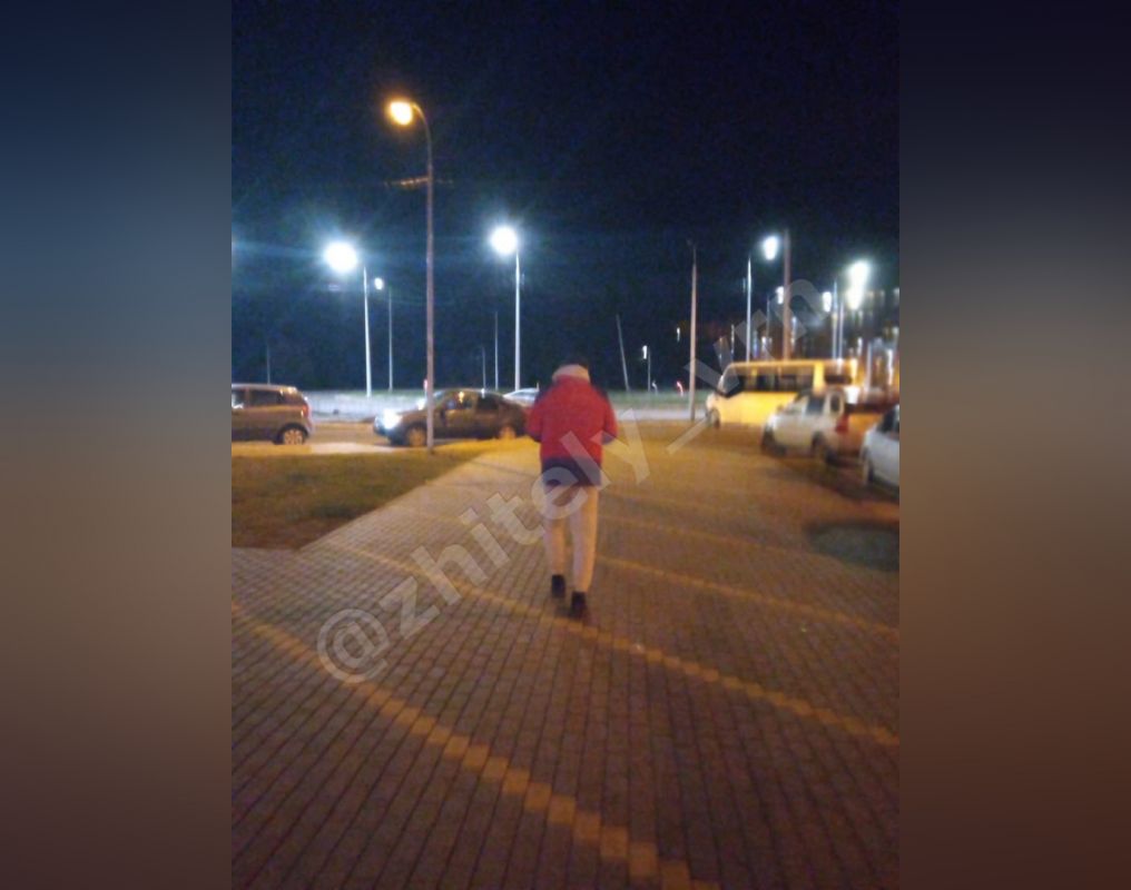 Воронежцам рассылают сообщения о нападении на девочку в Шилово