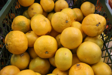 Как выбрать и хранить мандарины?