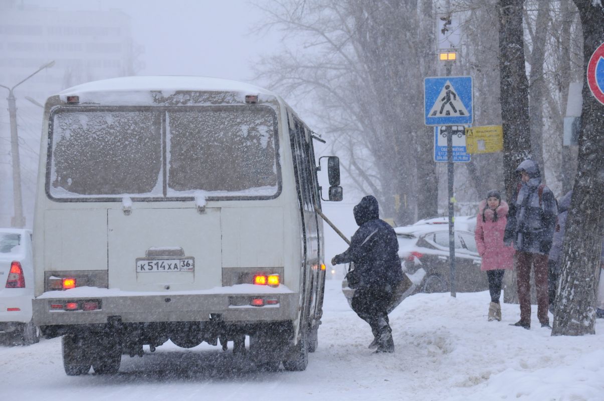 В Воронеже водитель автобуса № 54 зажал дверью ногу пассажирки