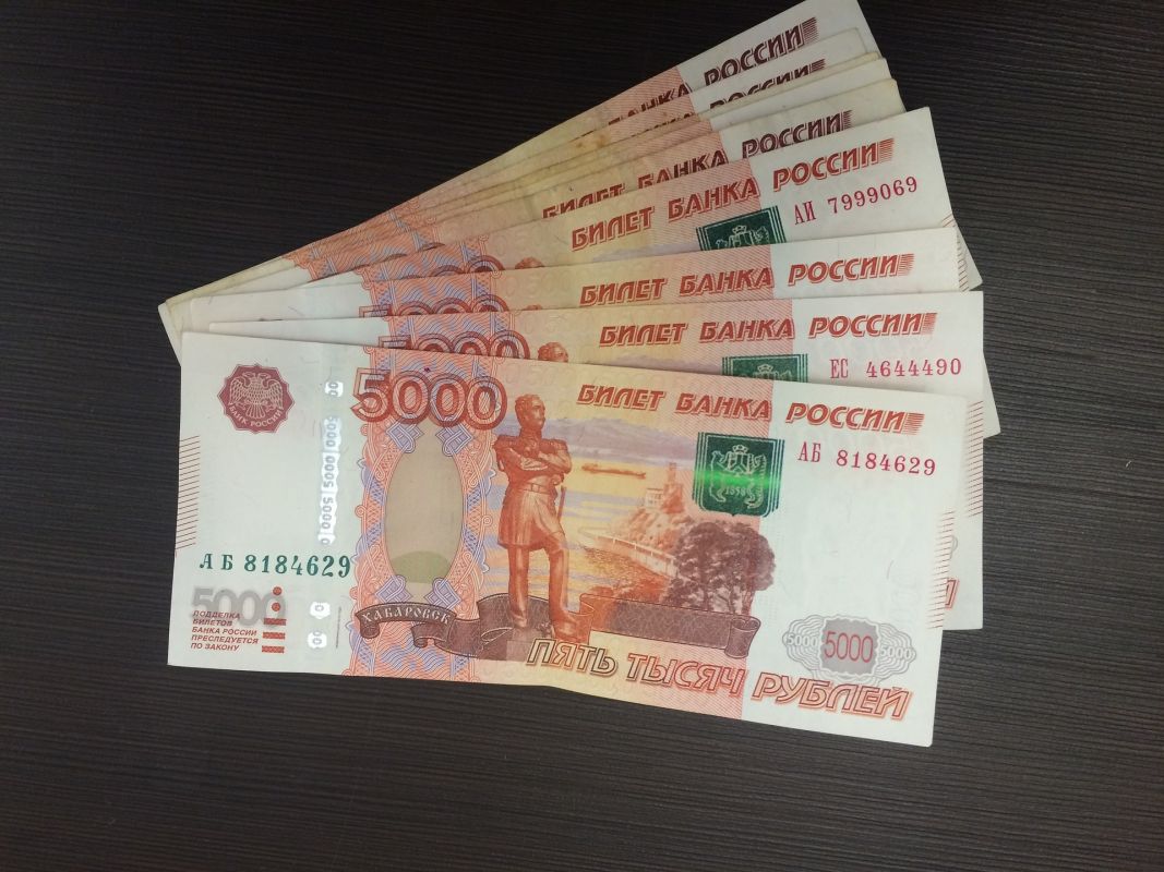 Депутат Госдумы предложил поднять МРОТ до&nbsp;50 тысяч рублей