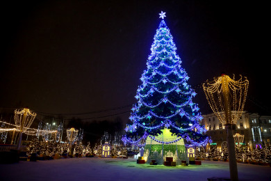 Без новогодней ёлки остался Центральный парк в Воронеже