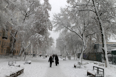 Синоптики рассказали, будет ли в Воронеже снежно на Новый год