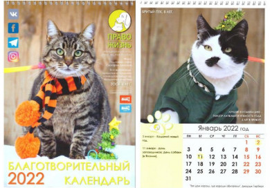 Воронежцы создали благотворительный календарь в поддержку бездомных животных