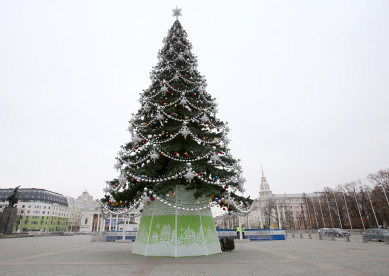 Воронежская ёлка вошла в тройку самых красивых в России 