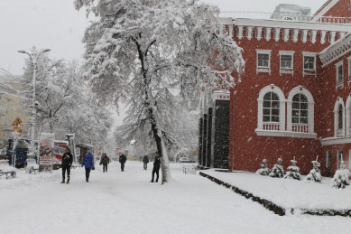 Прогноз погоды в Воронеже на 3 января, понедельник