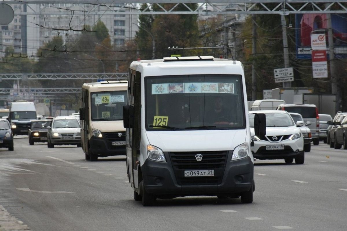 В Воронеже водитель маршрутки сбил пенсионерку на пешеходном переходе&nbsp;